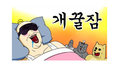[짐승친구들] 극락 수면안대의 비밀
