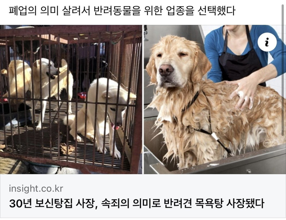 17205726977718.jpeg
