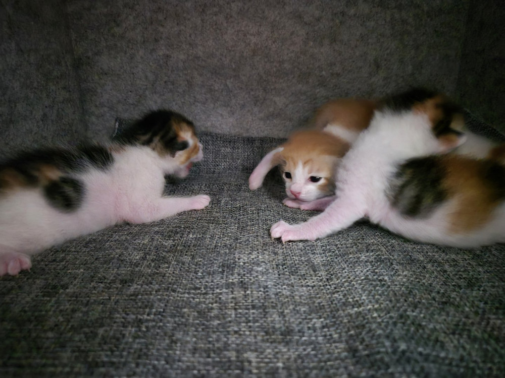 17219830753128.jpeg
