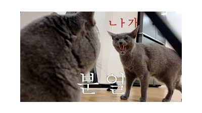 우리집에서 당장 나가