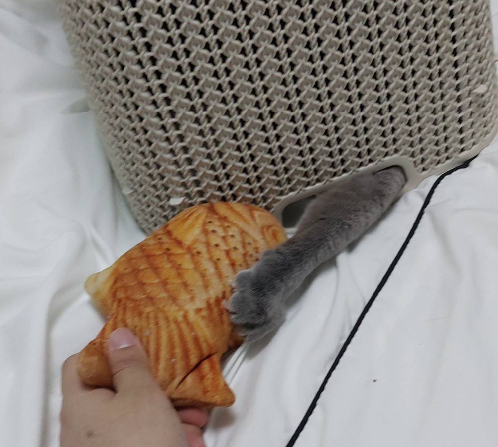 17220672583465.jpeg