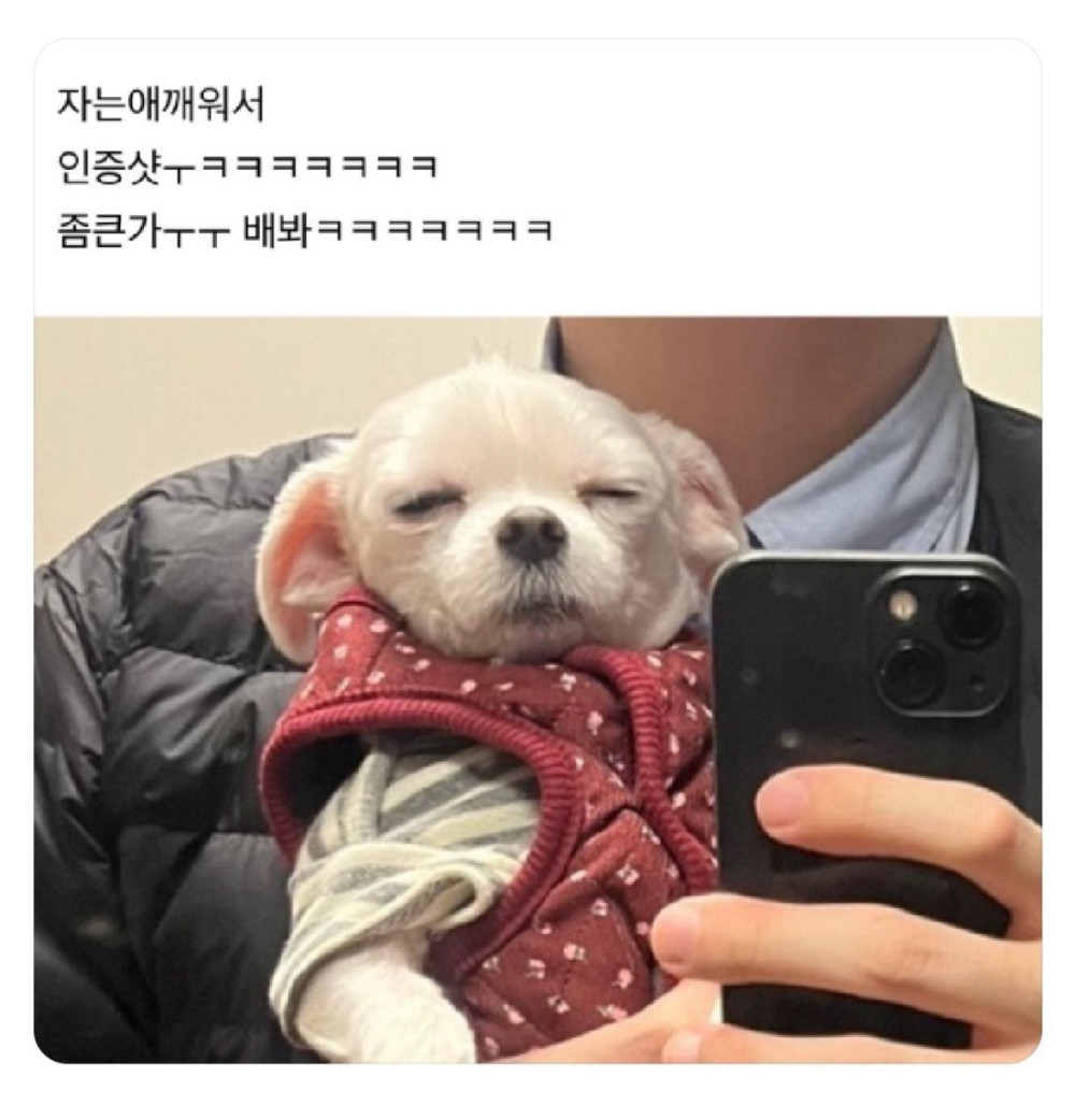 17226723761354.jpeg