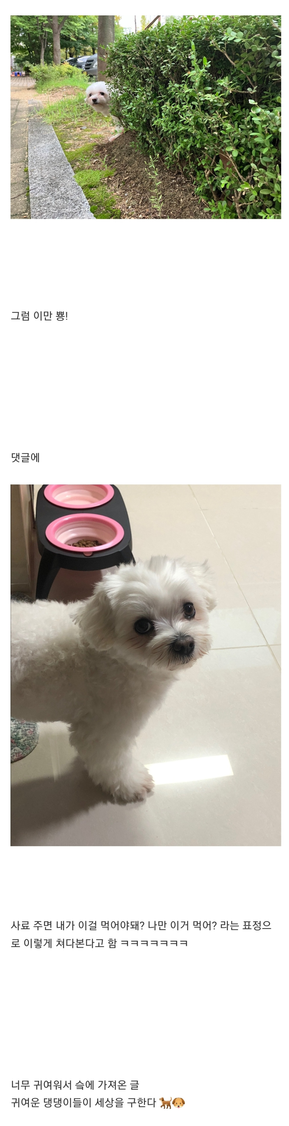 17294949641003.jpeg