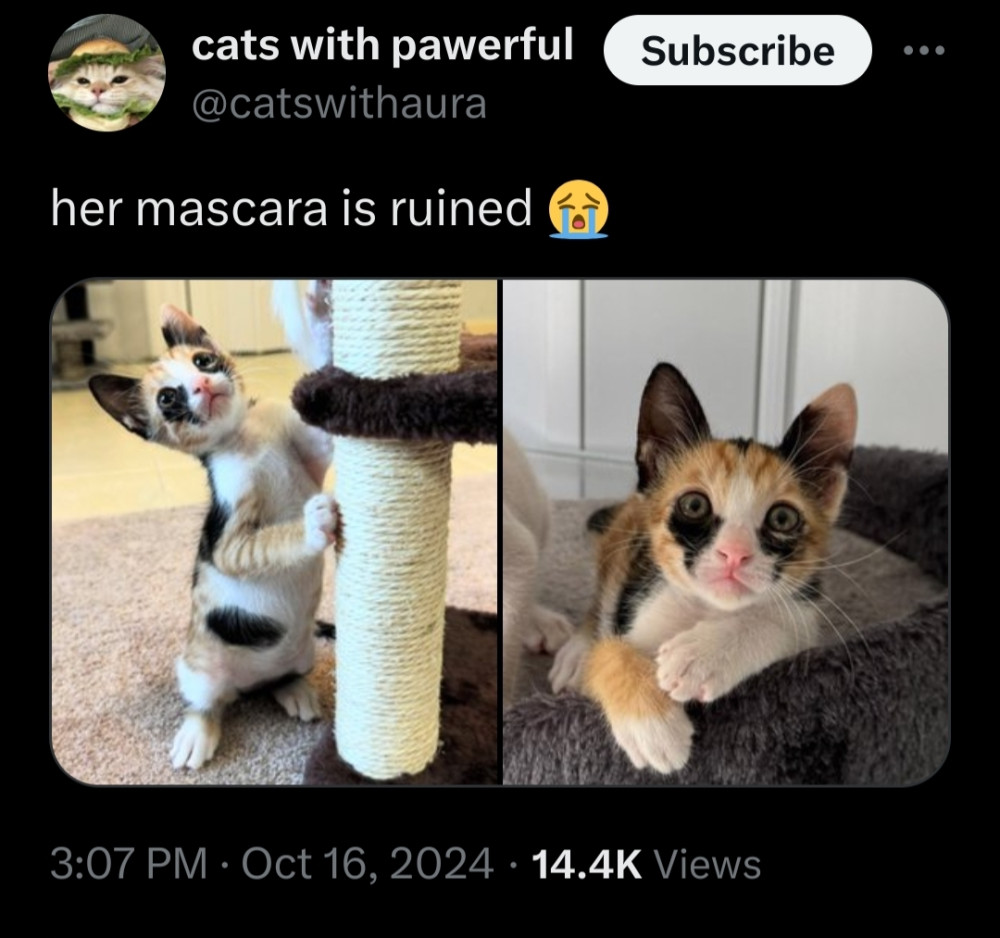 17312323206416.jpeg