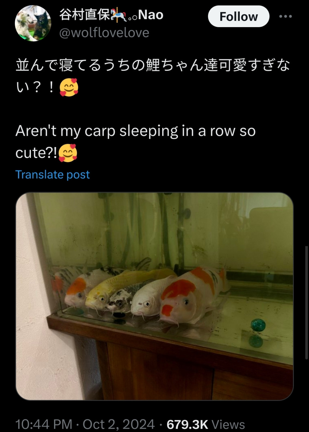 17312324313746.jpeg