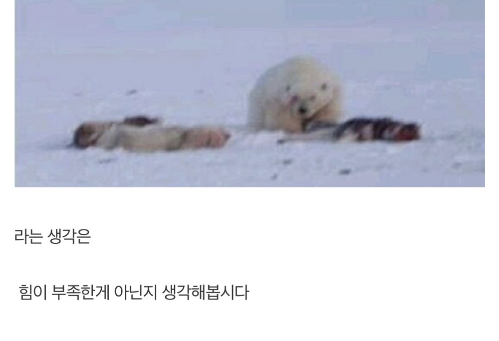 17435782845168.jpeg