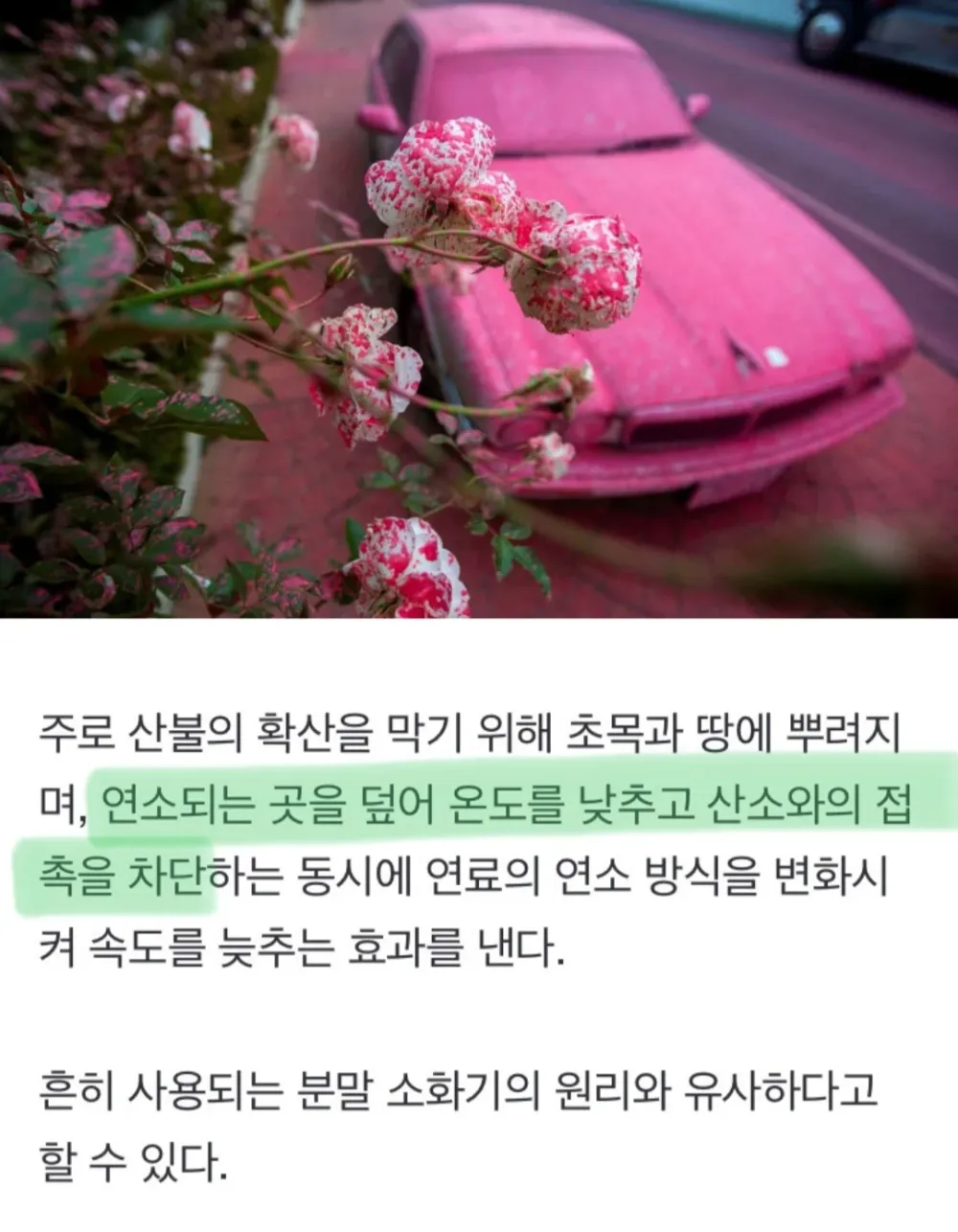 17435853547728.webp