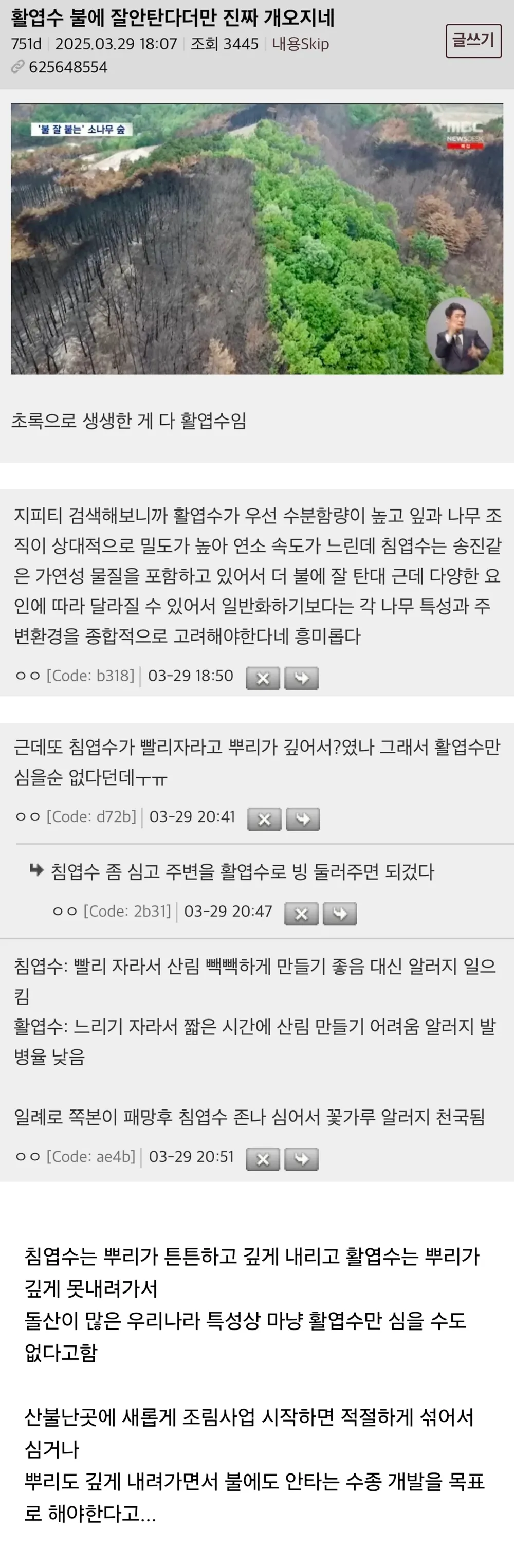 17435860838184.webp
