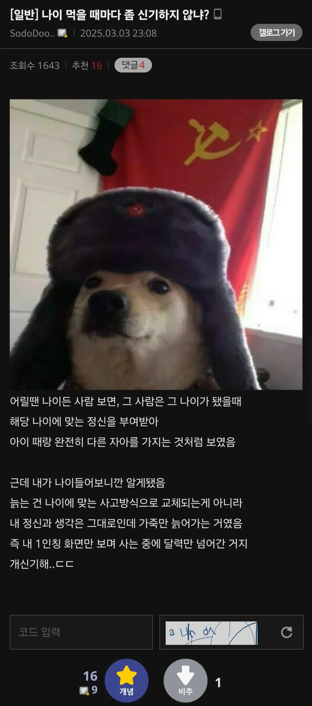 17435867375821.webp