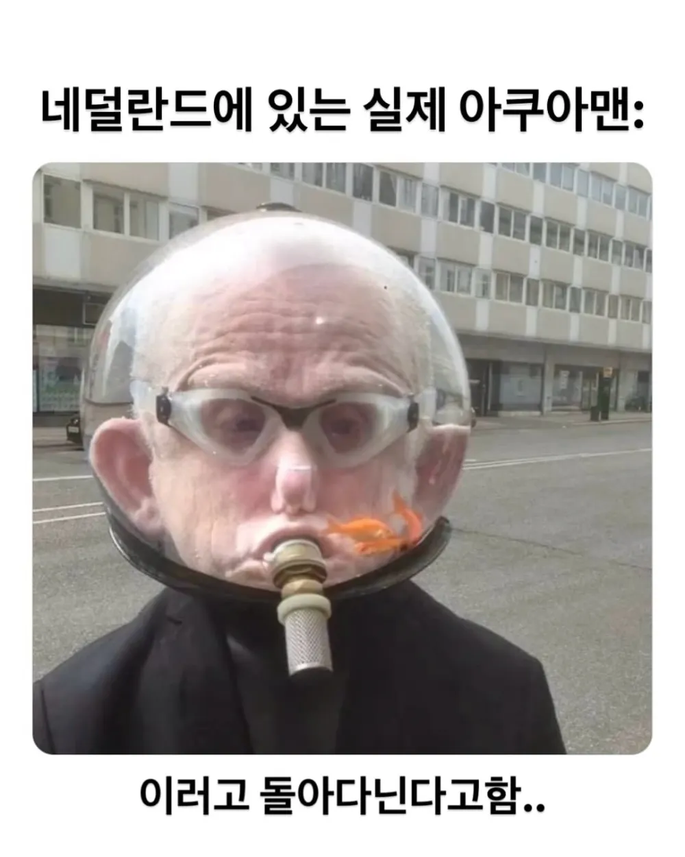 17435875293959.webp