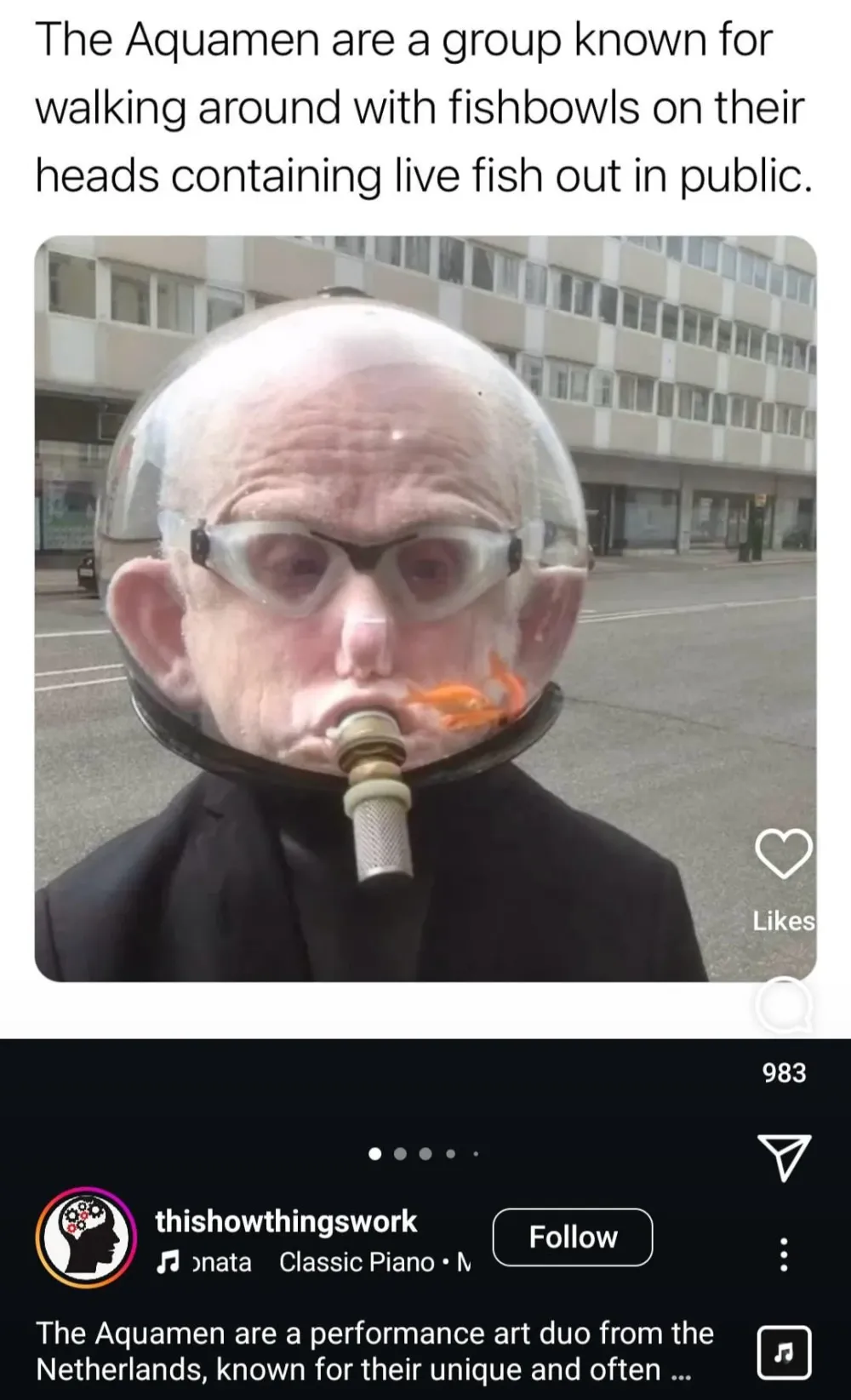 1743587530711.webp