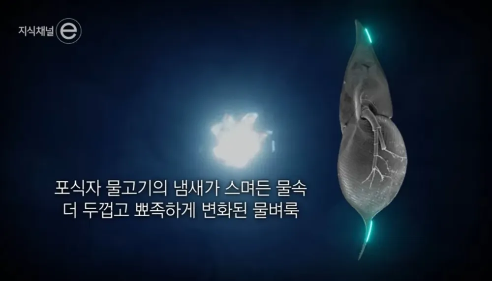 17448817835662.webp