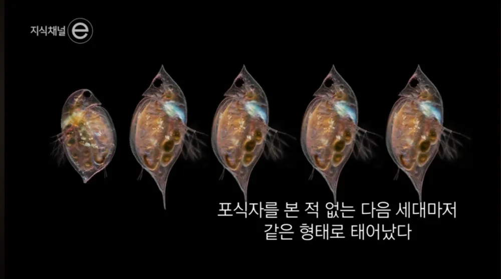 17448817836594.webp