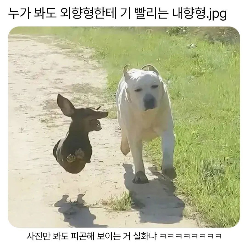 17448852562836.jpeg