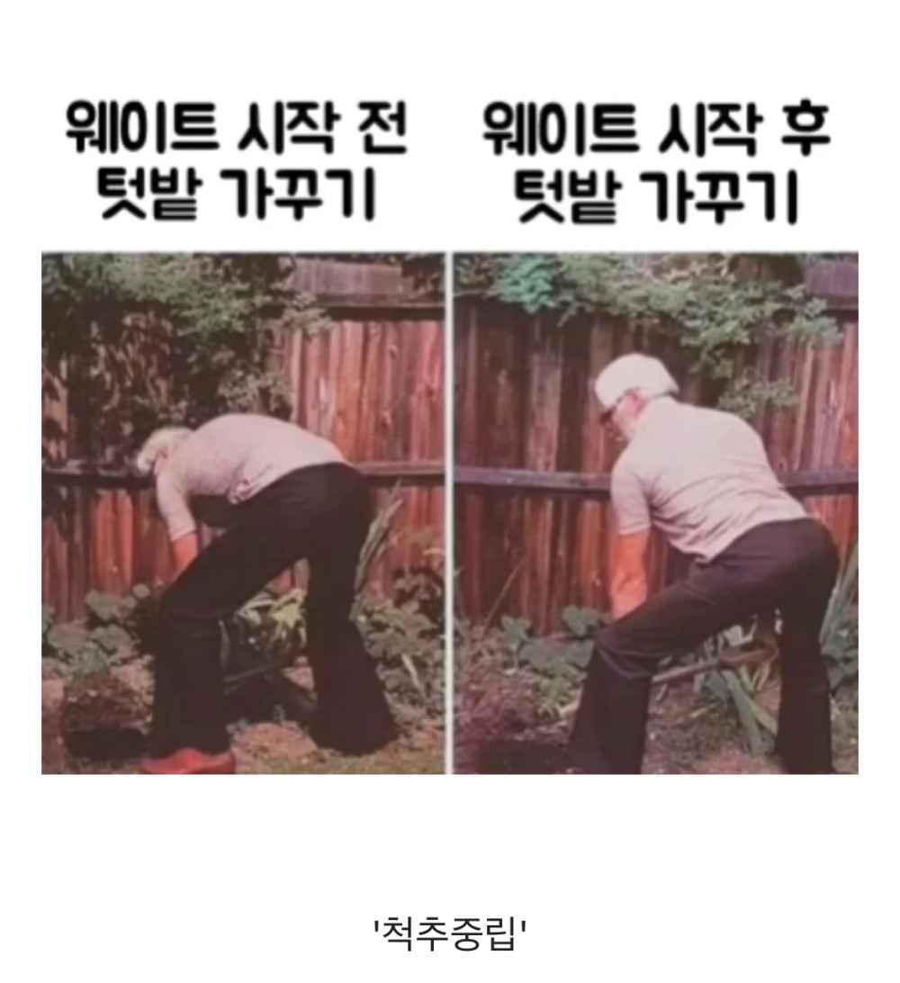 17455515552524.jpeg