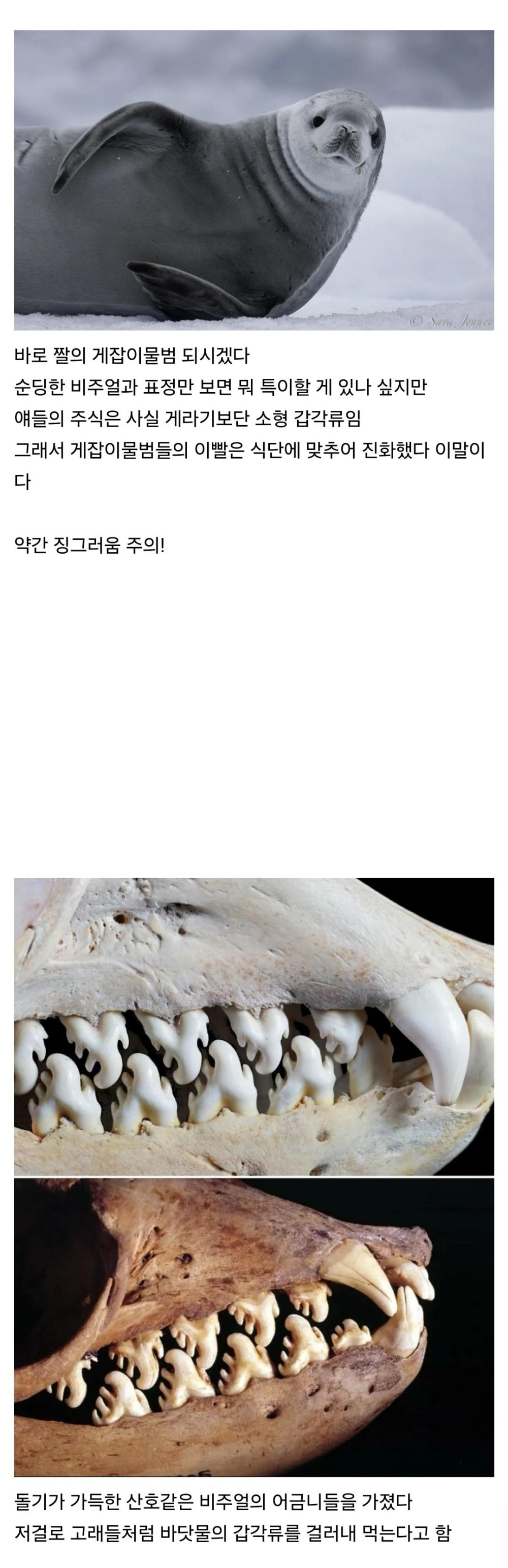 17455552774309.jpeg