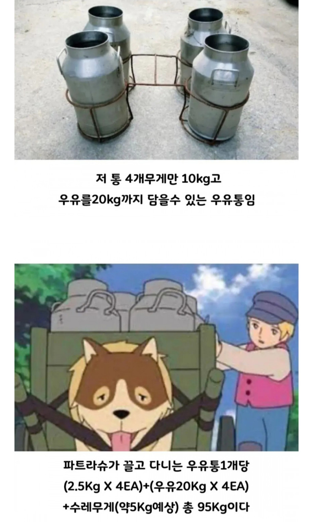 17455582762785.jpeg