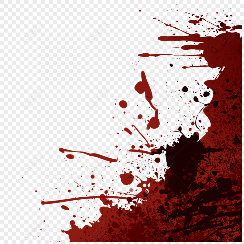 17455602015446.png