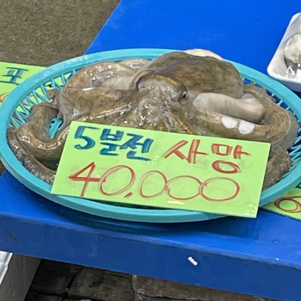 17502281907044.jpeg