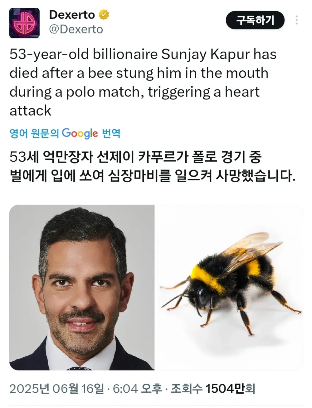 17502333699174.webp