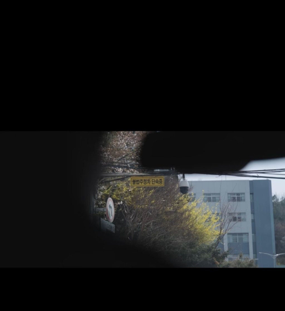 17502335957931.jpeg