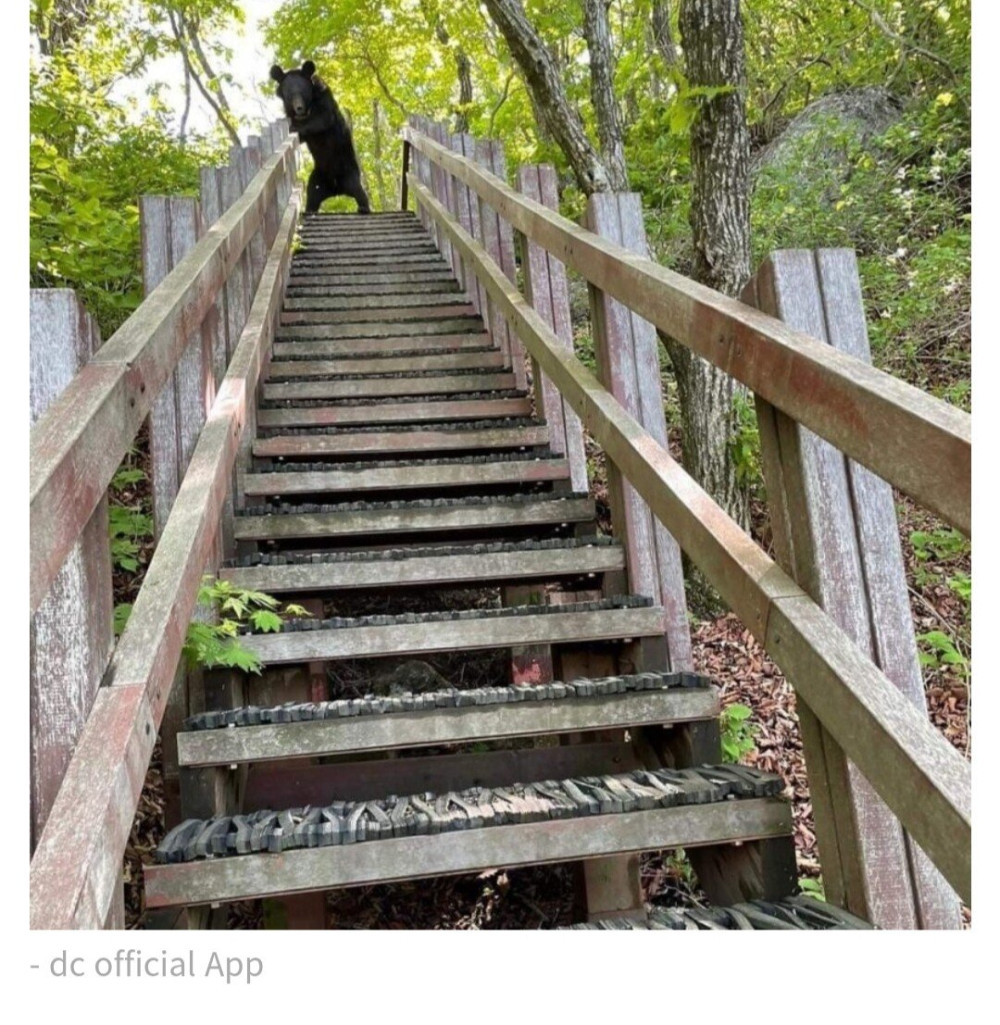 17537732047998.jpeg