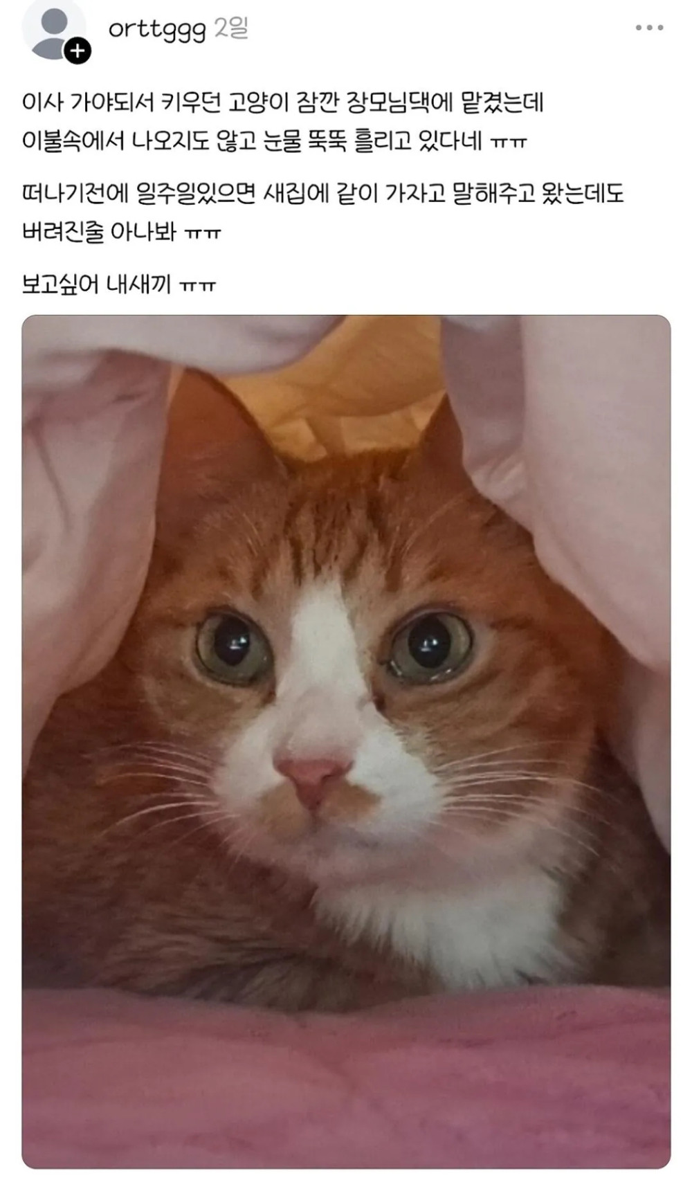 17895399705523.jpeg