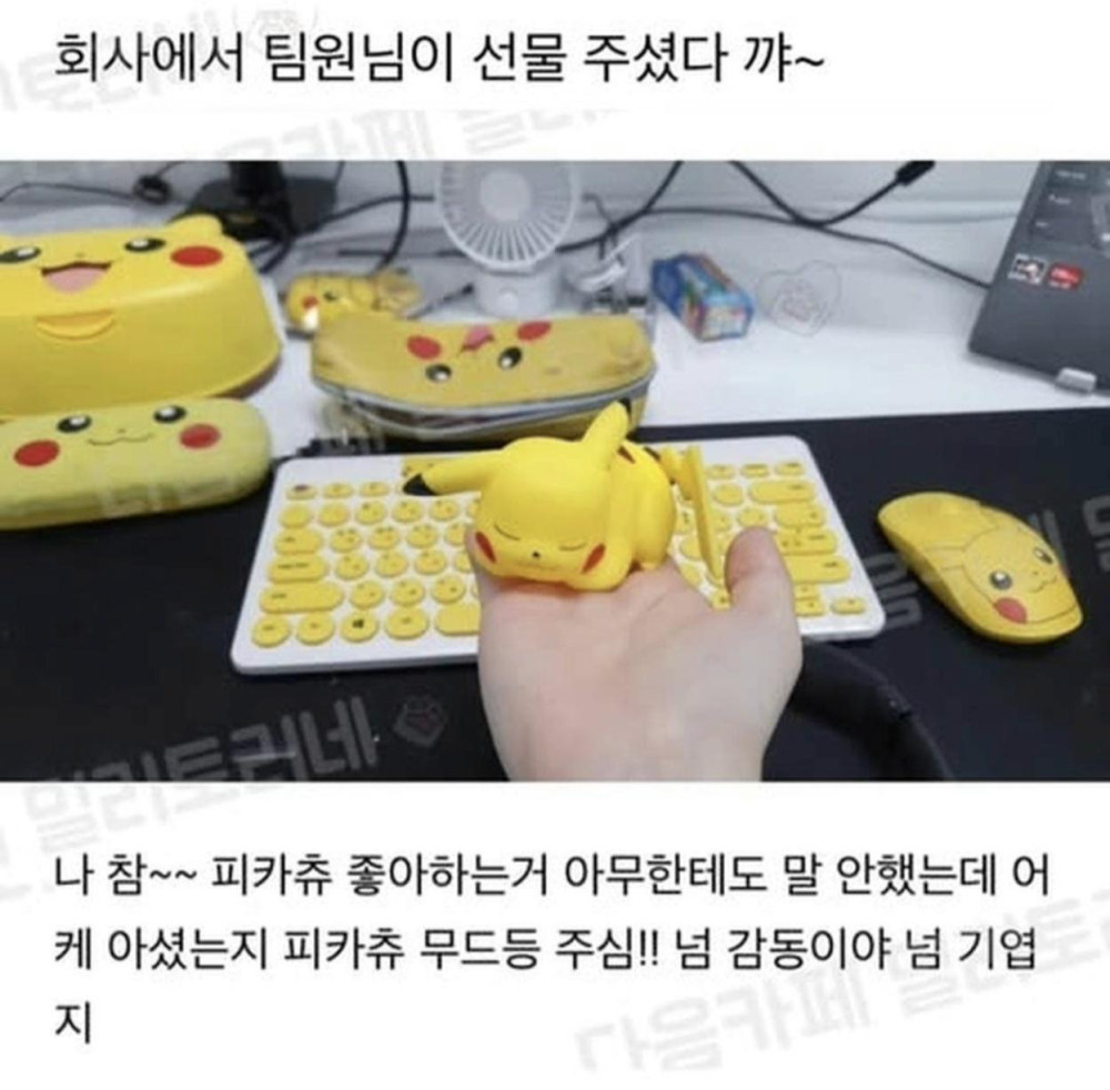 17895407936233.jpeg