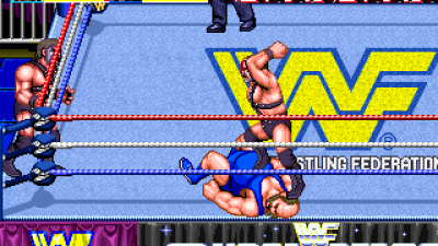 WWF WrestleFest (Japan)