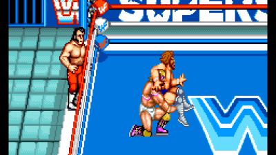 WWF Superstars (Japan)