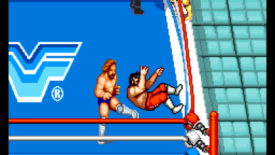 WWF Superstars (bootleg) [Bootleg]