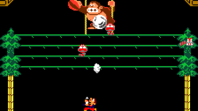 Donkey Kong 3 (Japan) [No sound]
