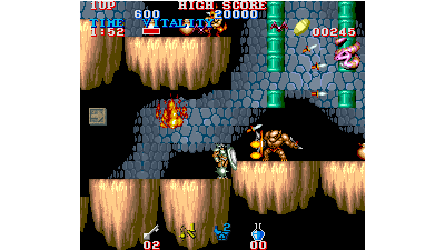 Black Tiger (older)